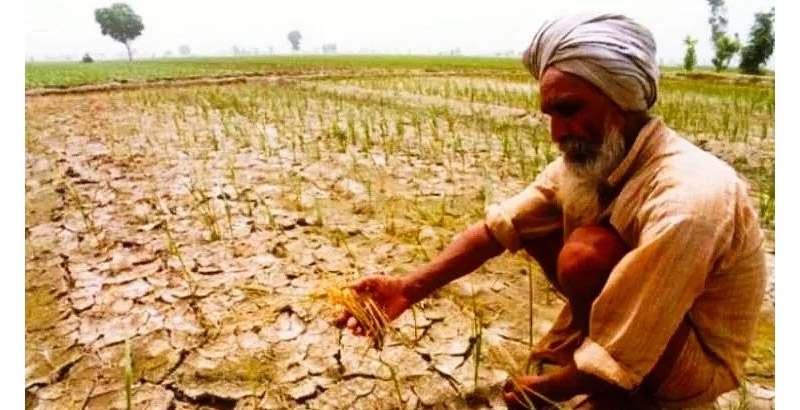 രാജ്യത്ത് ഓരോ മണിക്കൂറിലും കര്ഷക ആത്മഹത്യയെന്ന് എന്സിആര്ബി റിപ്പോര്ട്ട്