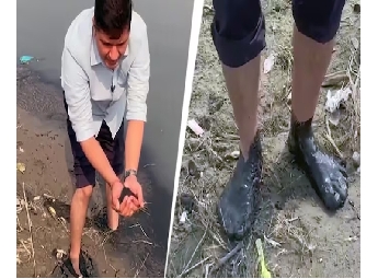 മോഡി ആചാരപരമായി മുങ്ങിക്കുളിച്ചത് 'വ്യാജ യമുന'യിലെന്ന് ആം ആദ്മി; മാലിന്യ കേ...