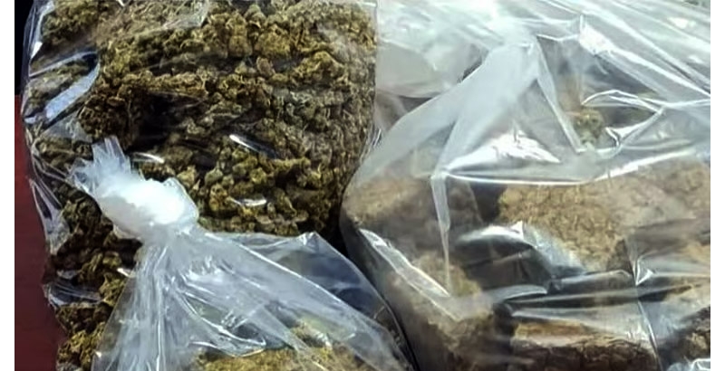 നെടുമ്പാശ്ശേരിയില്‍ ആറരക്കോടി രൂപ വിലമതിക്കുന്ന  ഹൈബ്രിഡ് കഞ്ചാവ്  പിടികൂടി