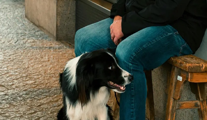 പെന്സില്വേനിയയില് വിചിത്ര സംഭവം: 'നായ വെടിവച്ചു'പരിക്കേല്പ്പിച്ചെന്ന് 53 കാരന് പെന്സില്വേനിയയില് വിചിത്ര സംഭവം: 'നായ വെടിവച്ചു'പരിക്കേല്പ്പിച്ചെന്ന് 53 കാരന്