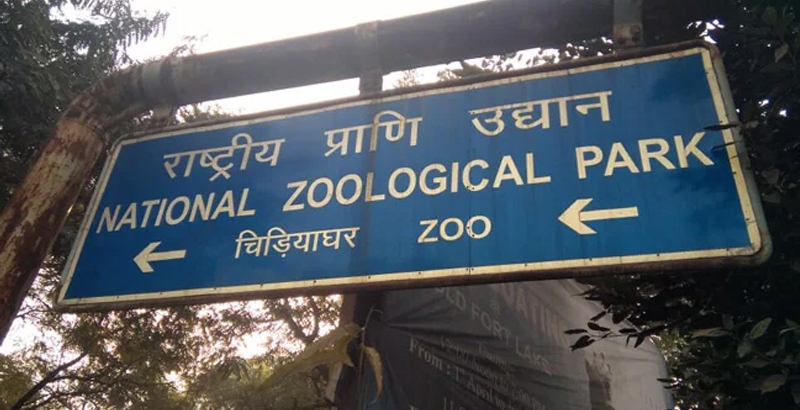 ഡല്‍ഹി മൃഗശാലയിലെ കുറുനരികള്‍ 'കൂടുചാടി'