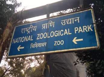 ഡല്‍ഹി മൃഗശാലയിലെ കുറുനരികള്‍ \'കൂടുചാടി\'