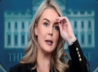 കരോലിന്റെ ലെവിറ്റിന്റെ സഹോദരന്റെ മുന്‍ പങ്കാളി അനധികൃത കുടിയേറ്റത്തിന് അറസ്റ്റില്‍