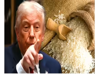 ഇന്ത്യന്‍ അരി ഇറക്കുമതിക്കെതിരെ ട്രംപ്;  പുതിയ തീരുവകള്‍ക്ക് വഴിയൊരുങ്ങുമെന്ന് ഭീഷണി