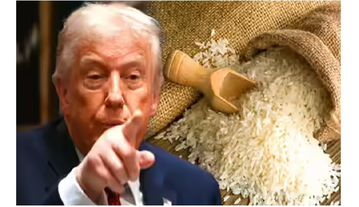 ഇന്ത്യന് അരി ഇറക്കുമതിക്കെതിരെ ട്രംപ്; പുതിയ തീരുവകള്ക്ക് വഴിയൊരുങ്ങുമെന്ന് ഭീഷണി ഇന്ത്യന് അരി ഇറക്കുമതിക്കെതിരെ ട്രംപ്; പുതിയ തീരുവകള്ക്ക് വഴിയൊരുങ്ങുമെന്ന് ഭീഷണി