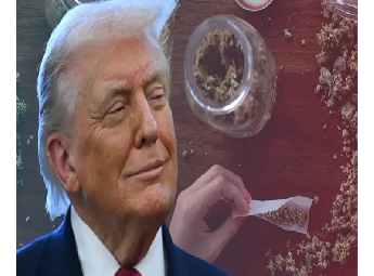 'ഗവേഷണത്തിനായി' കഞ്ചാവ്; ഫെന്റനില്‍ 'വ്യാപക നാശായുധം' : ട്രംപിന്റെ പ്രഖ്യാപനം അമേരിക്കയില്‍ പുതിയ ലഹരി ചര്‍ച്ചയ്ക്ക് തിരികൊളുത്തുന്നു