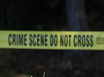 അമേരിക്കയില്‍ ഇന്ത്യന്‍ വംശജന്‍ അച്ഛനെ സ്ലെഡ്ജ് ഹാമറുകൊണ്ട് കൊലപ്പെടുത്തി