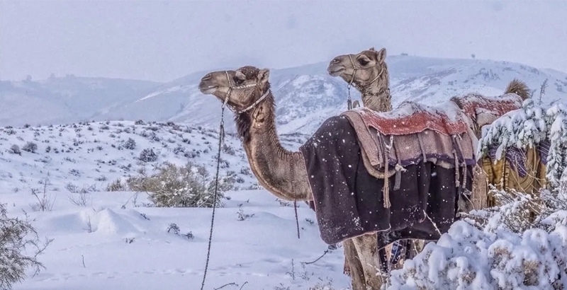 മലനിരകളില് മഞ്ഞണിഞ്ഞ് സൗദി അറേബ്യ