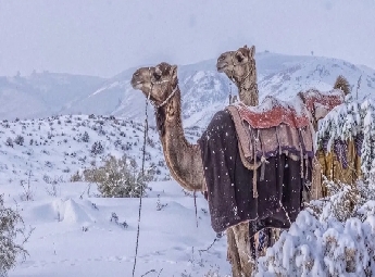 മലനിരകളില്‍ മഞ്ഞണിഞ്ഞ് സൗദി അറേബ്യ