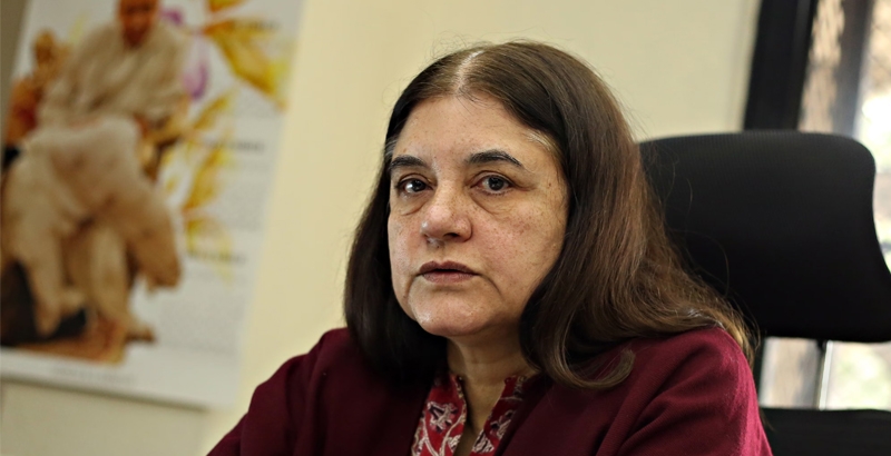 തെരുവുനായ വിഷയത്തില്‍ മനേക ഗാന്ധിയോട് അതൃപ്തി പ്രകടിപ്പിച്ച് സുപ്രിം കോടതി