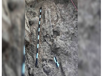 ബല്ലാരിയിൽ 5,000 വർഷം പഴക്കമുള്ള മനുഷ്യാവശിഷ്ടങ്ങൾ: ടെക്കളക്കോട്ടെയിൽ അപൂർവ...