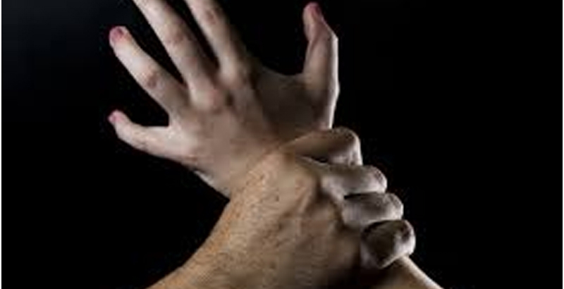 ബിനാലെയിലെ വിദേശ കലാകാരിക്കെതിരെ ലൈംഗികാതിക്രമം; മുംബൈ സ്വദേശിക്കെതിരെ അന്വേഷണം