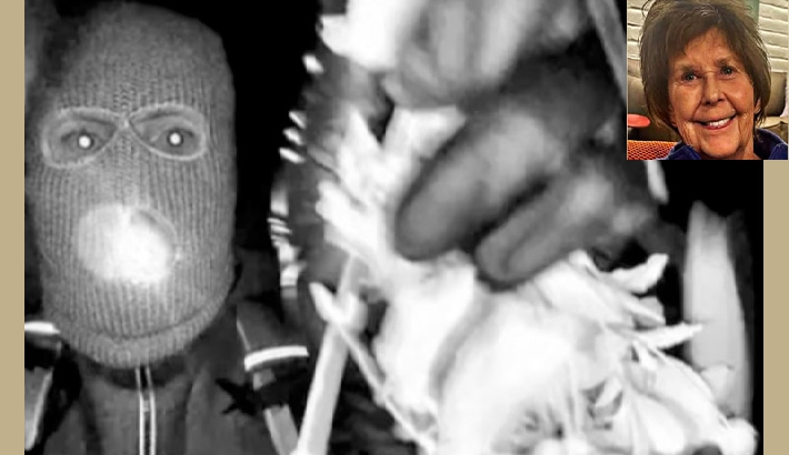 സവാന ഗുത്രിയുടെ അമ്മ നാൻസി ഗുത്രിയെ കാണാതായ സംഭവത്തിൽ പിടിയിലായ ആളെ വിട്ടയച്ചു