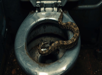 വന്ദേഭാരതിന്റെ ശുചിമുറിയില്‍ പാമ്പിനെ തുറന്നുവിട്ട യുവാവ് അറസ്റ്റില്‍