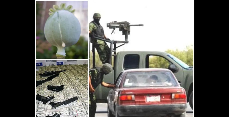 മെക്‌സിക്കോ മയക്കുമരുന്ന് വ്യാപാരത്തിൽ ചൈനയുടെ നൂറാണ്ട് നീണ്ട ബന്ധം; അഫീമിൽ നിന്ന് രാസവസ്തുക്കളിലേക്കും പണമൊഴുക്കിലേക്കും വ്യാപിച്ചു