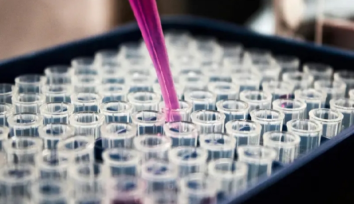 മരുന്നുകളും ലോഹ ഉൽപ്പന്നങ്ങളും ലക്ഷ്യമിട്ട് പുതിയ താരിഫ് നടപടികളുമായി അമേരിക്ക