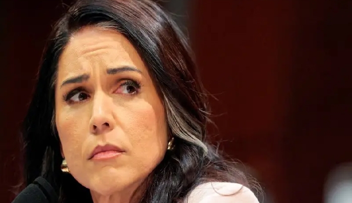 തുൾസി ഗബ്ബാർഡിനെ മാറ്റുമോ? ട്രംപിന്റെ ആലോചനകൾ ചർച്ചയാകുന്നു