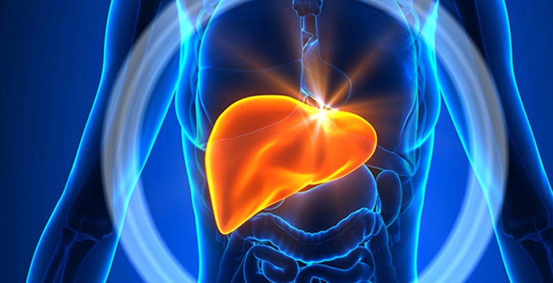 ഫാറ്റി ലിവര്‍: ആധുനിക ജീവിതശൈലിയിലെ നിശ്ശബ്ദ കൊലയാളി