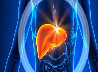 ഫാറ്റി ലിവര്‍: ആധുനിക ജീവിതശൈലിയിലെ നിശ്ശബ്ദ കൊലയാളി