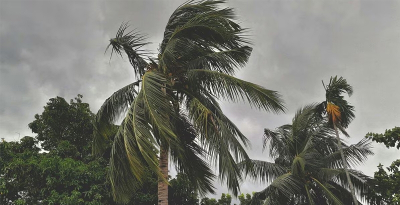 കാലവർഷം കേരളത്തിൽ മെയ് 26 ഓടെ