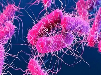 തിരുവനന്തപുരത്തും കൊല്ലത്തും ഷി​ഗല്ല; വയനാട്ടിൽ രോ​ഗം ബാധിച്ച കുട്ടികളുടെ എണ്ണം 9 ആയി