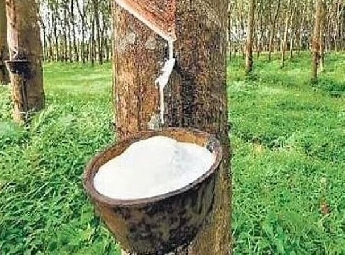റബര്‍ താങ്ങുവില കൂട്ടി, 250 രൂപയാക്കും, മത്സ്യത്തൊഴിലാളികളുടെ മണ്ണെണ്ണ സബ്‌സിഡി കൂട്ടി, ബജറ്റിൽ ഭൂപരിഷ്‌കരണം 2 പ്രഖ്യാപനം