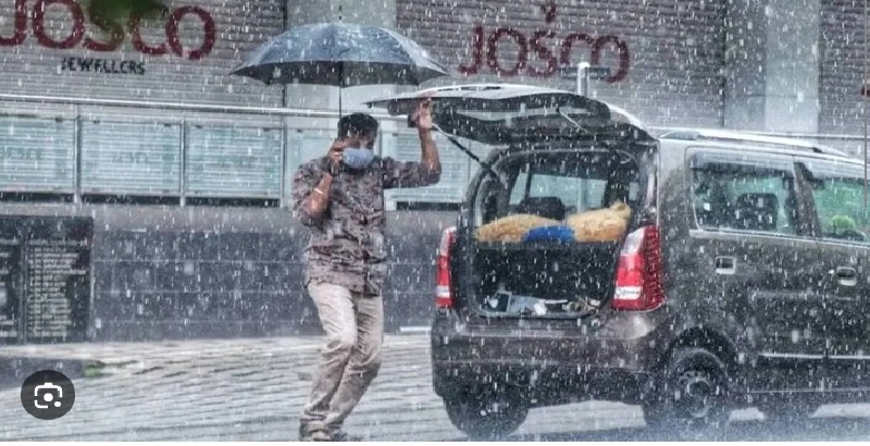 വയനാട്ടില്‍ വിദ്യാഭ്യാസ സ്ഥാപനങ്ങള്‍ക്ക് നാളെ അവധി