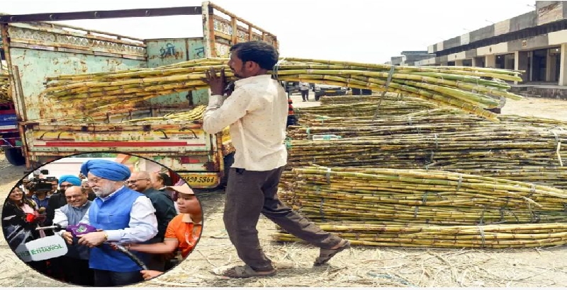 പഞ്ചസാര വിലക്കയറ്റത്തിന് പിന്നിലെന്ത്? എത്തനോൾ നയത്തിന് പങ്കില്ലെന്ന് കേന്ദ്രം