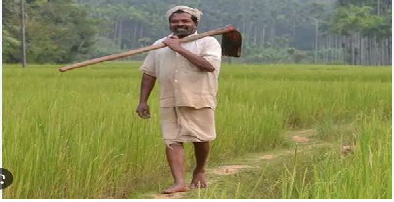 പത്മശ്രീ ജേതാവും പരമ്പരാഗത നെൽവിത്തുകളുടെ സംരക്ഷണത്തിലൂടെ ശ്രദ്ധേയനുമായ ചെറുവയൽ രാമൻ അന്തരിച്ചു