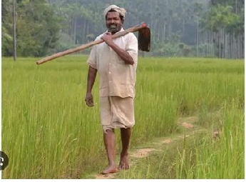 പത്മശ്രീ ജേതാവും പരമ്പരാഗത നെൽവിത്തുകളുടെ സംരക്ഷണത്തിലൂടെ ശ്രദ്ധേയനുമായ ചെറുവയൽ രാമൻ അന്തരിച്ചു